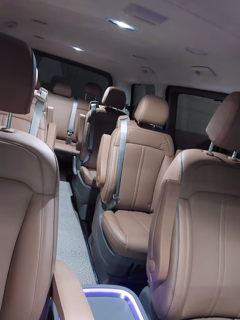 Seoul Private Tour - Vehicle(StariaLounge)