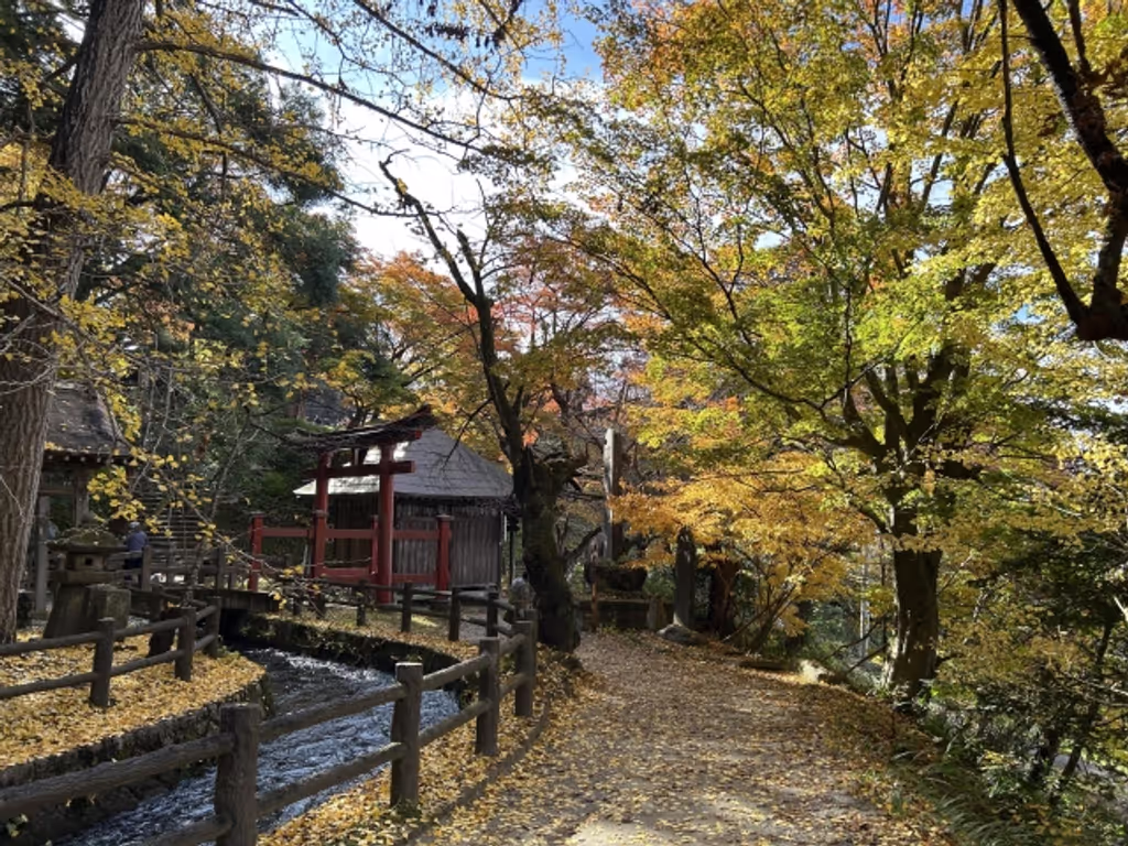 Fukushima Private Tour - 