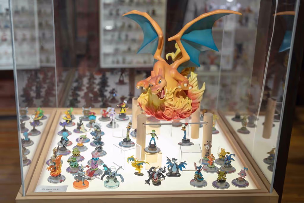 Kochi Private Tour - Pokémon（ポケモン）