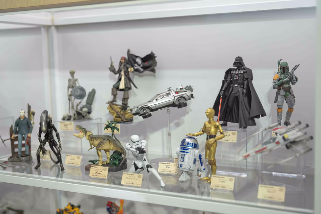 Kochi Private Tour - Star Wars