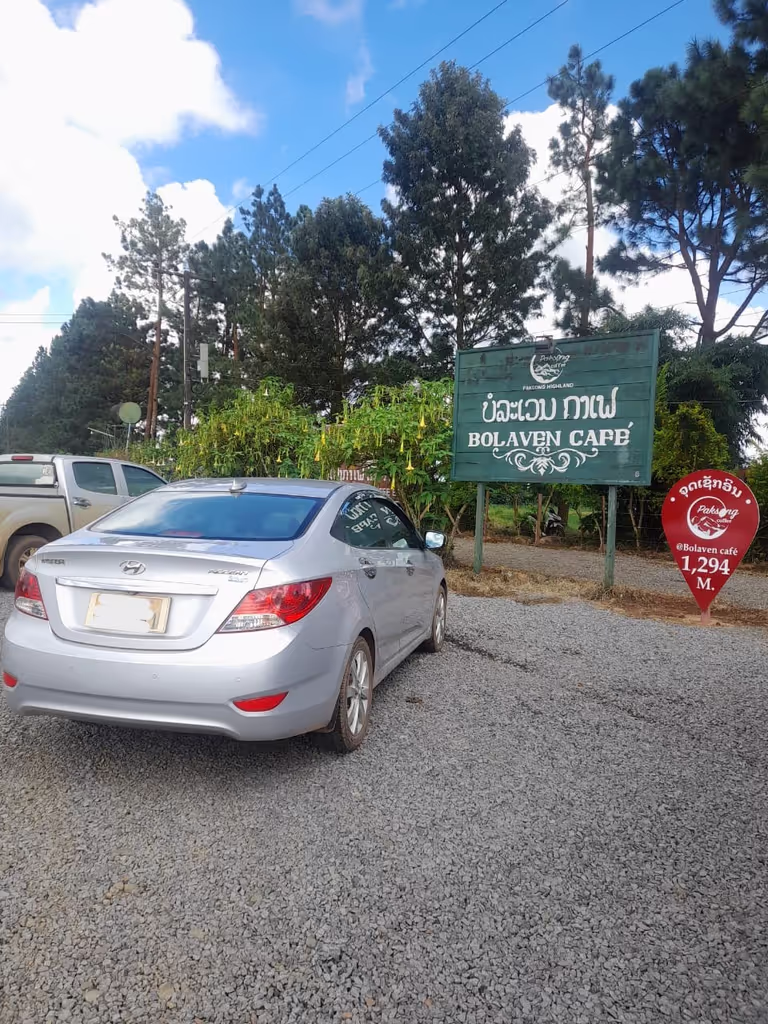 Champasak Private Tour - Paksong Bolovens Coffee Plantation.