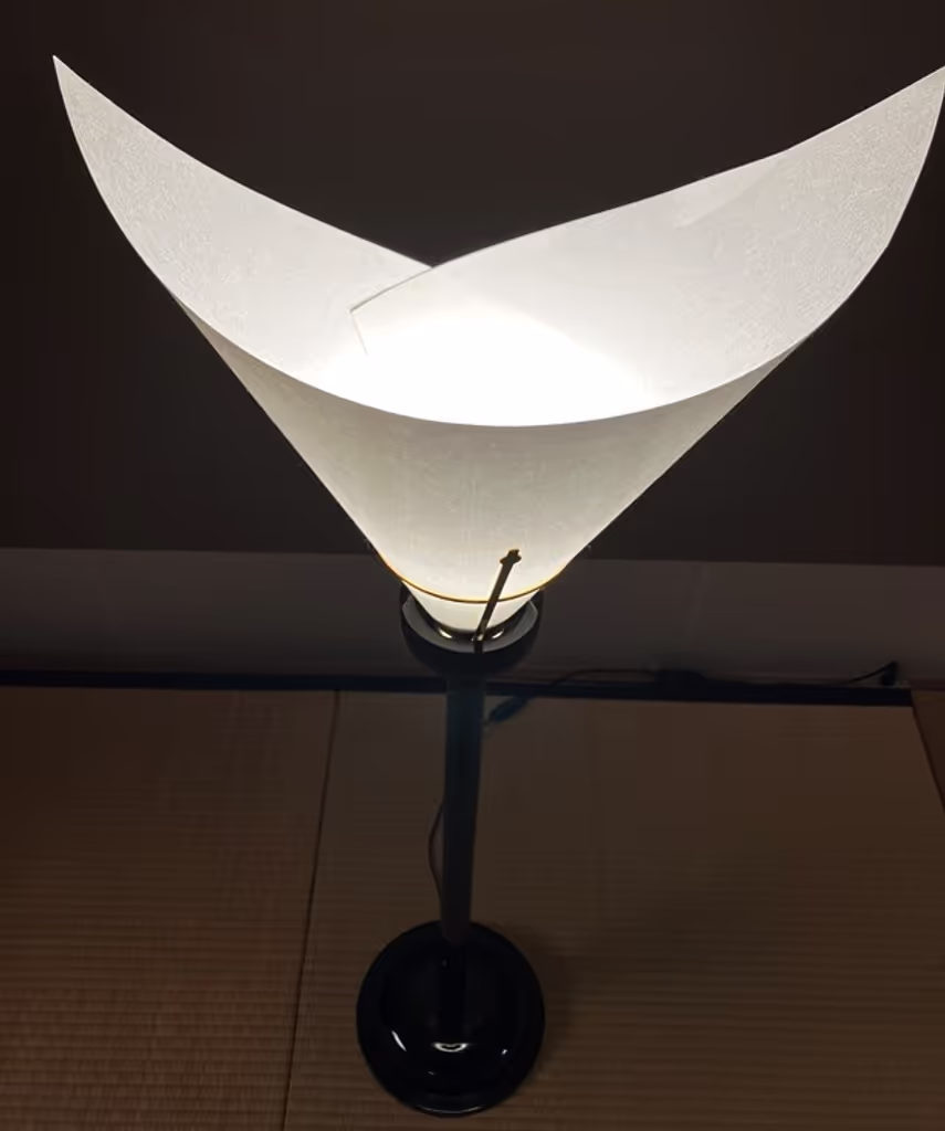 Kyoto Private Tour - Lighting in Guest House