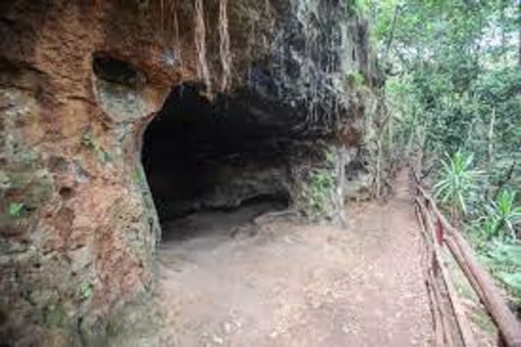Nairobi Private Tour - Historic Mau Mau caves in Karura Forest, Nairobi