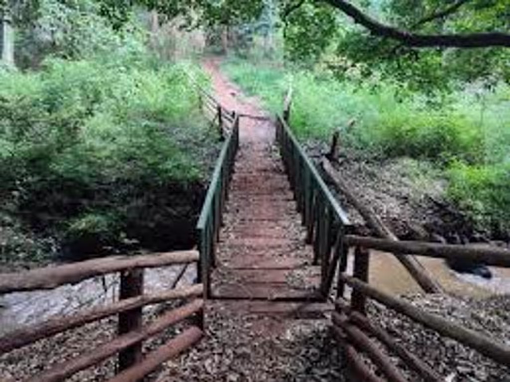 Nairobi Private Tour - Walking across the peaceful river bridge in Karura
