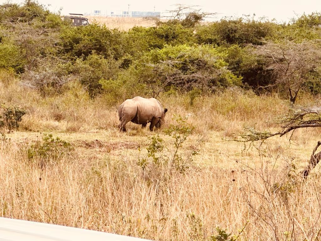 Nairobi Private Tour - 