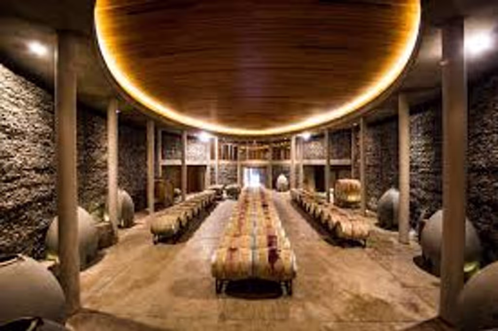 Santiago Private Tour - Awesome