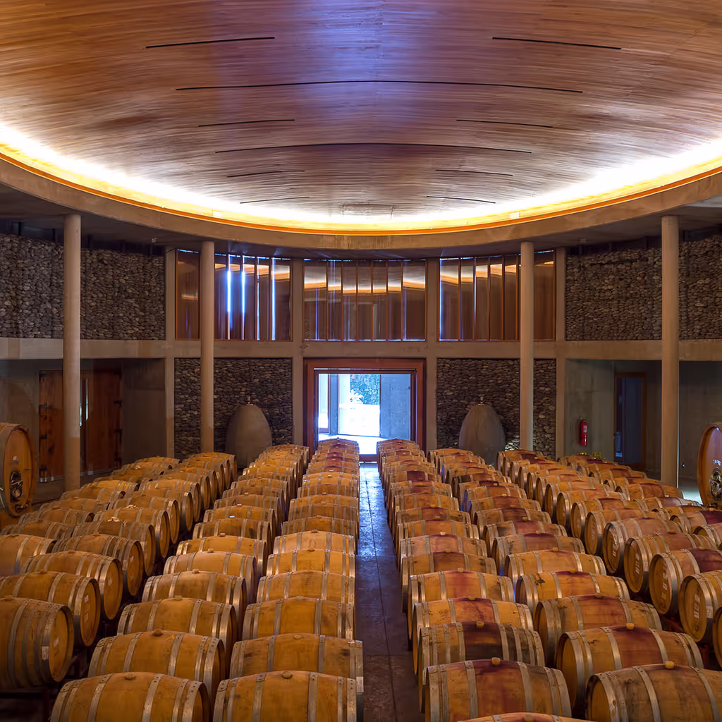 Santiago Private Tour - Storage