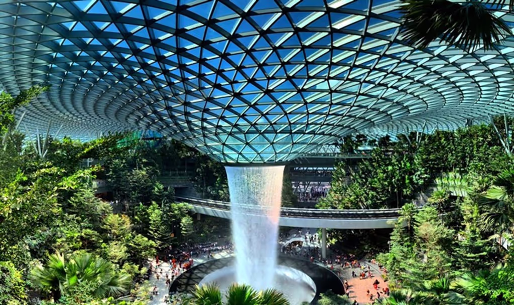 Singapore Private Tour - Rain Forest Vortex