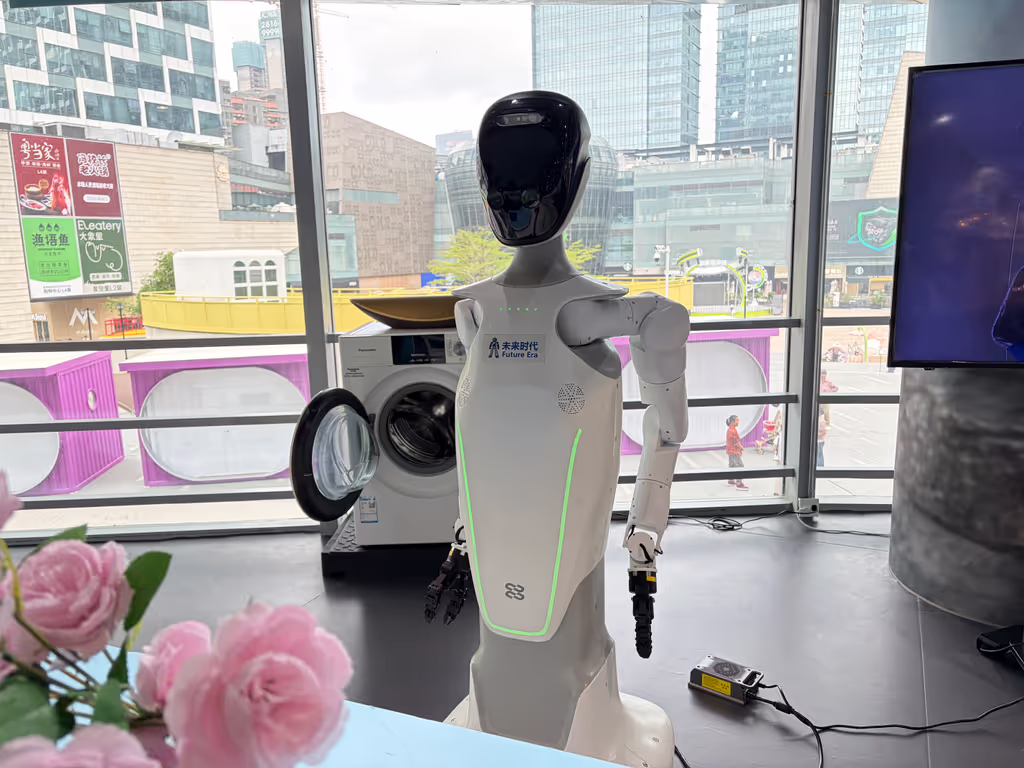 Shenzhen Private Tour - Household Robot