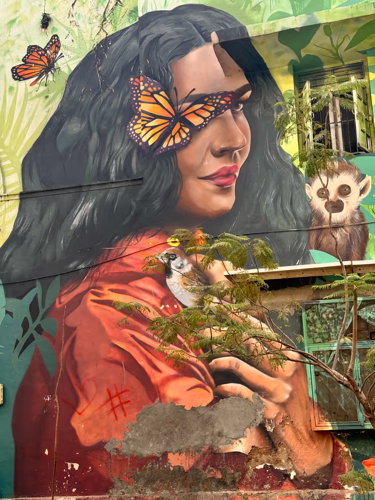 Delhi Private Tour - Lodi art district