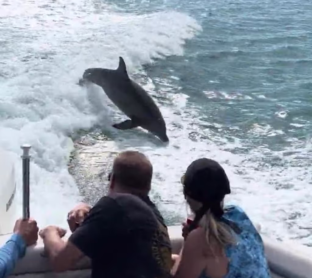 Florida Private Tour - 