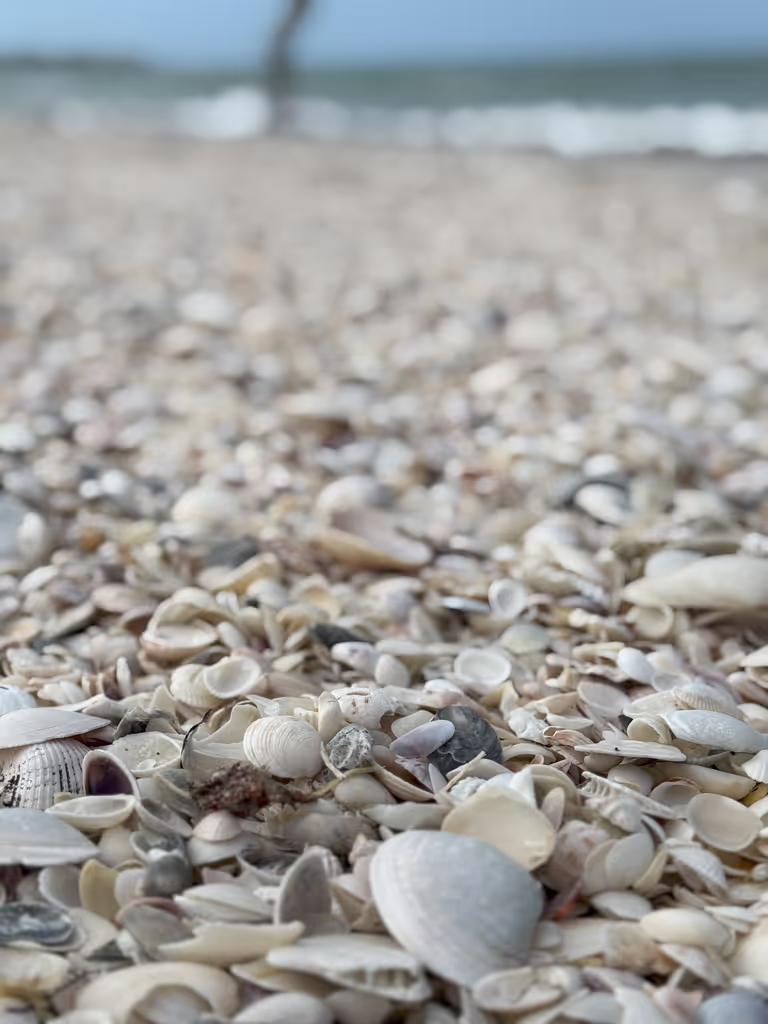 Florida Private Tour - 