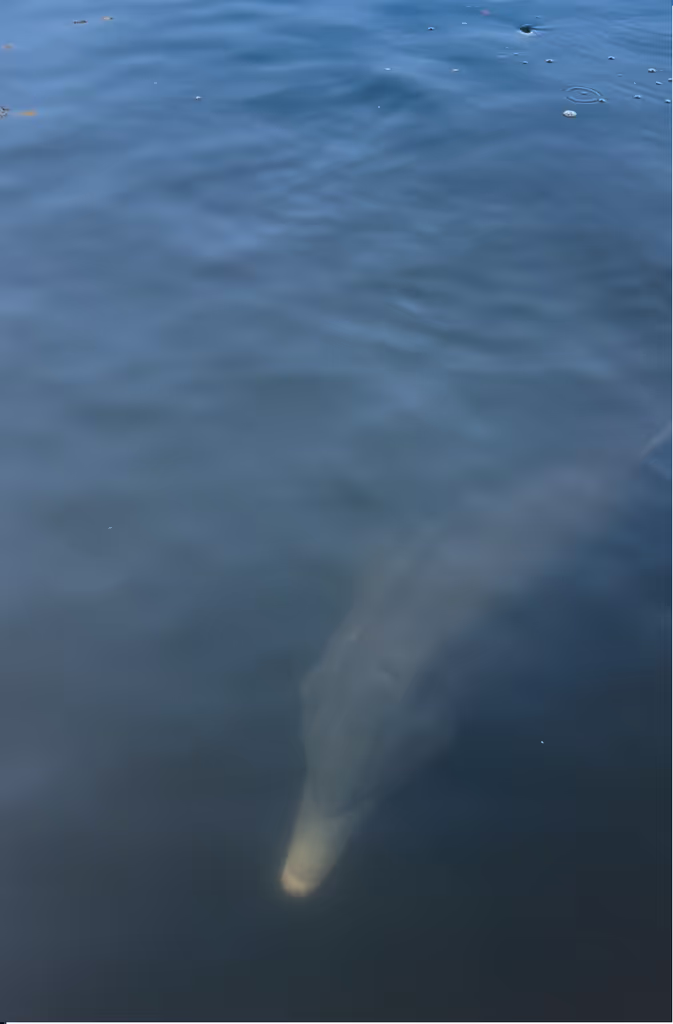 Florida Private Tour - 
