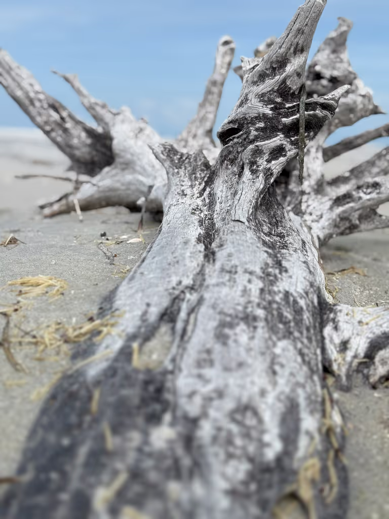 Florida Private Tour - 
