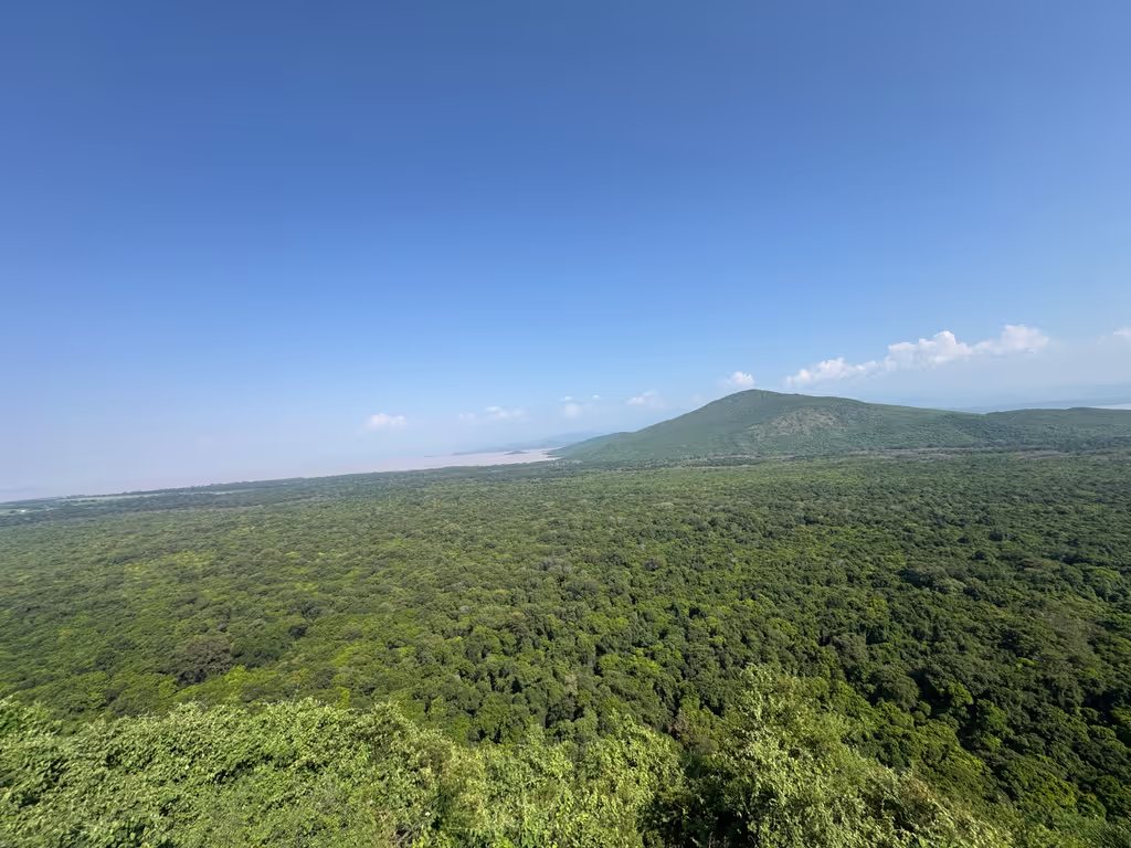 Addis Ababa Private Tour - 