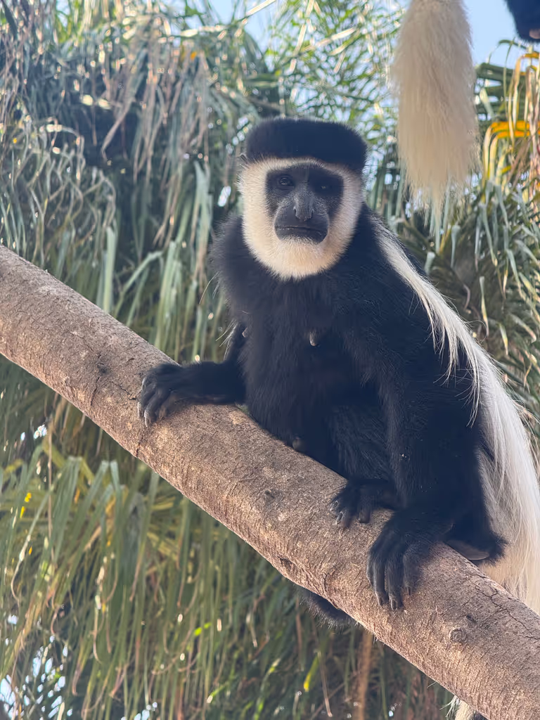 Addis Ababa Private Tour - 