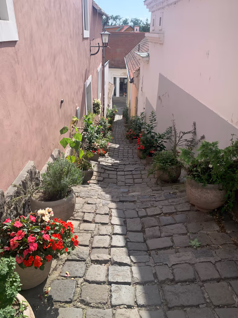 Budapest Private Tour - 