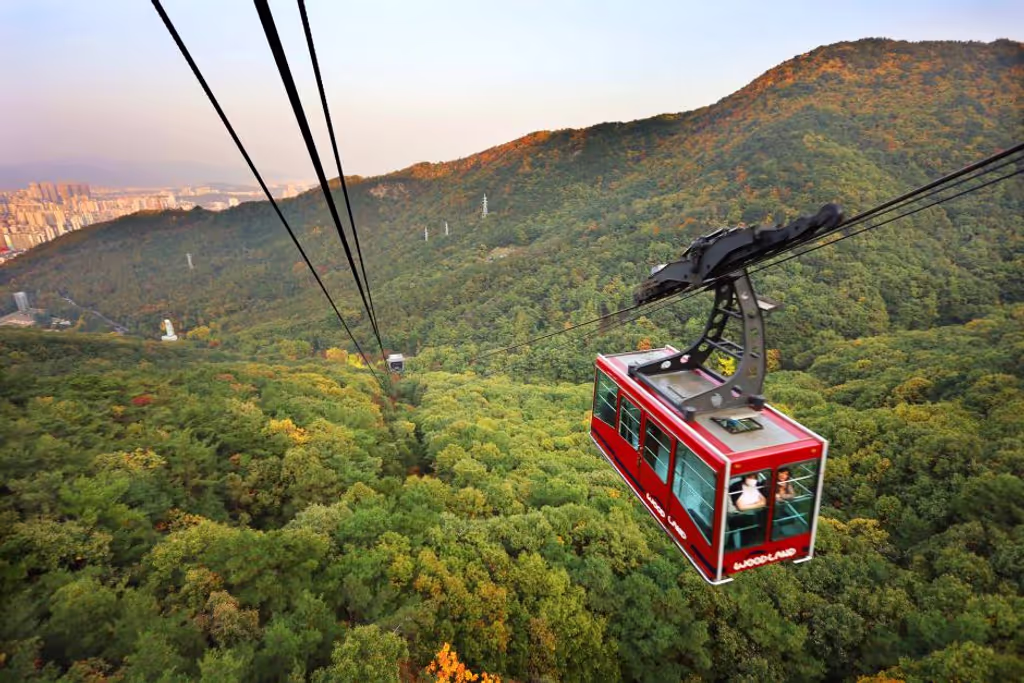 Daegu Private Tour - 