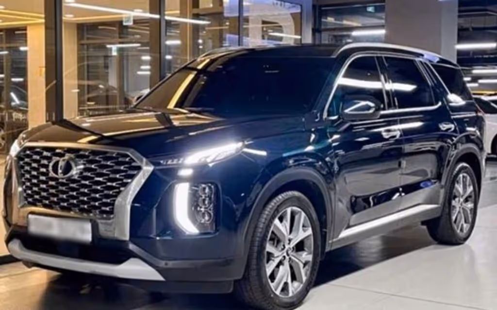 Daegu Private Tour - Vehicle(Hyundai Palisade)