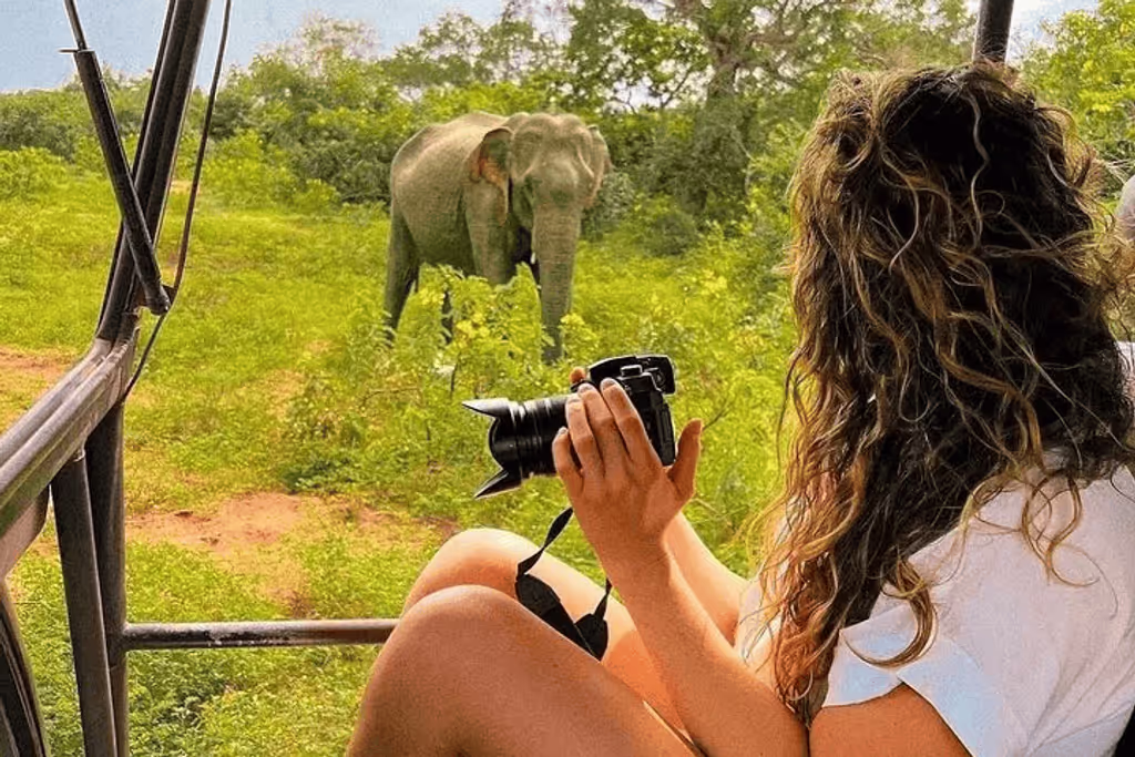 Colombo Private Tour - 