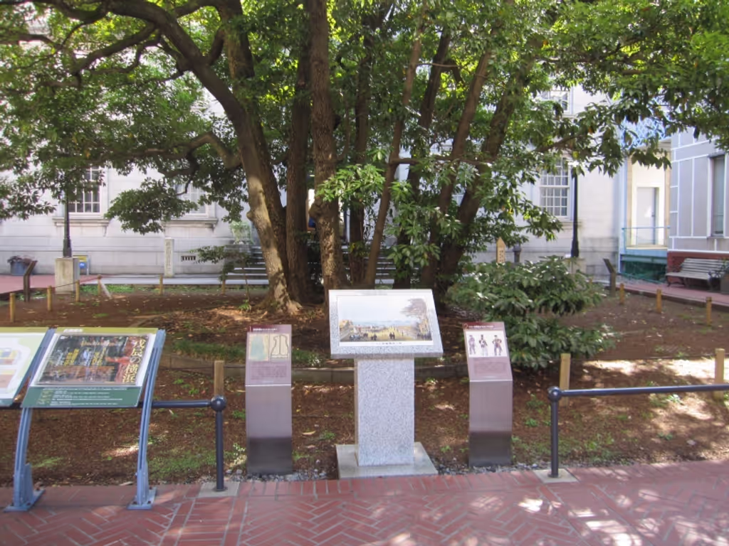 Yokohama Private Tour - Old tree seeing Yokohama's progress: It is  over 150 years old. It welcomed Commodore Perry in 1854.