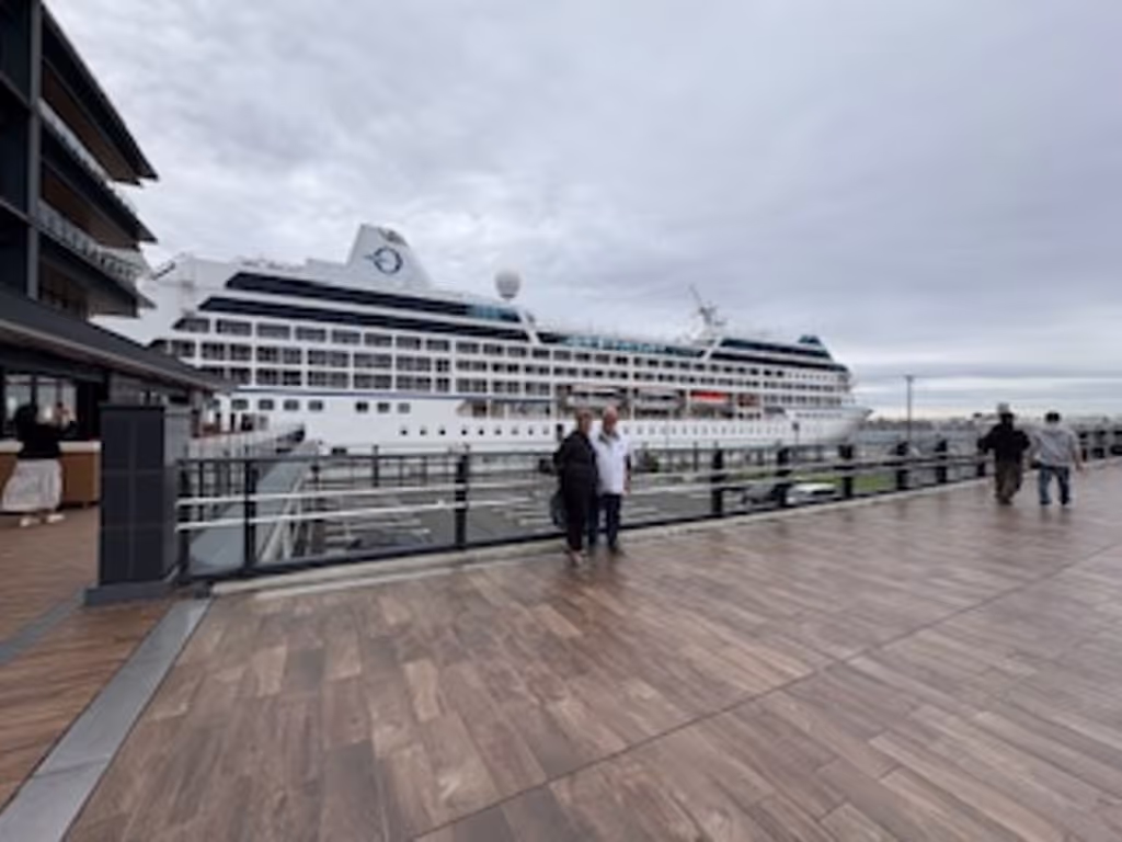 Yokohama Private Tour - Cruiser at the port