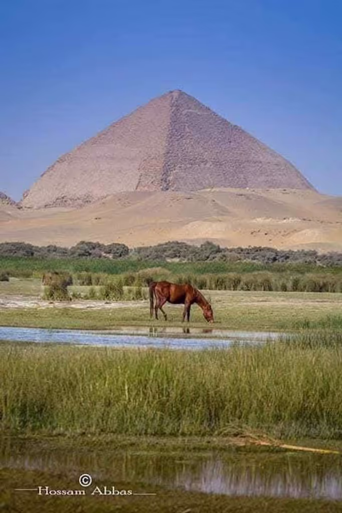 Giza Private Tour - 