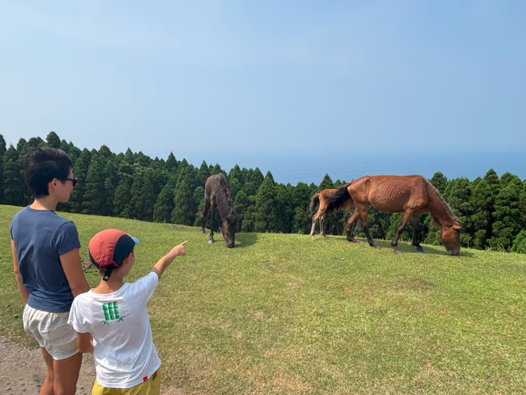 Miyazaki Private Tour - Get close to them to say "Konnichiwa!"