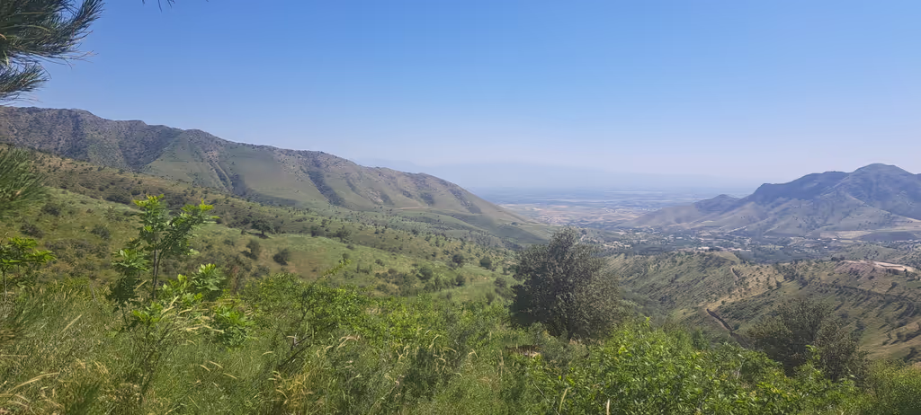 Samarkand Private Tour - 