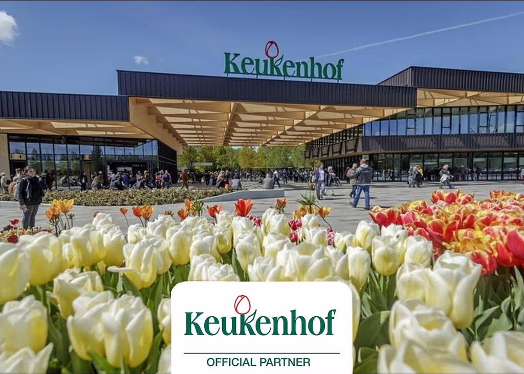 Amsterdam Private Tour - 