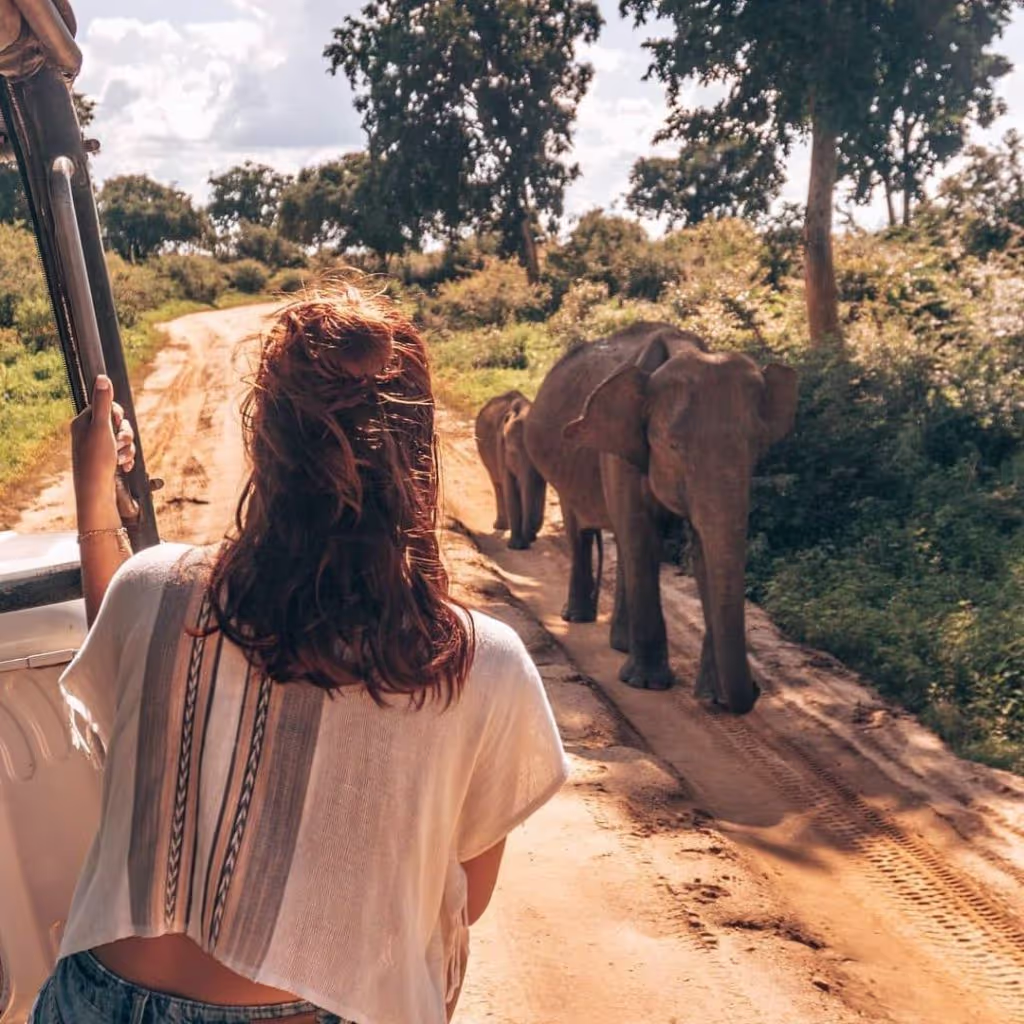 Ella Private Tour - 