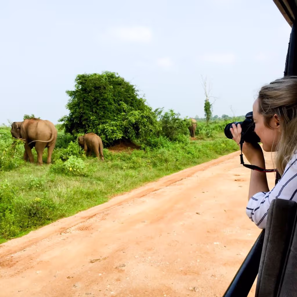 Ella Private Tour - 