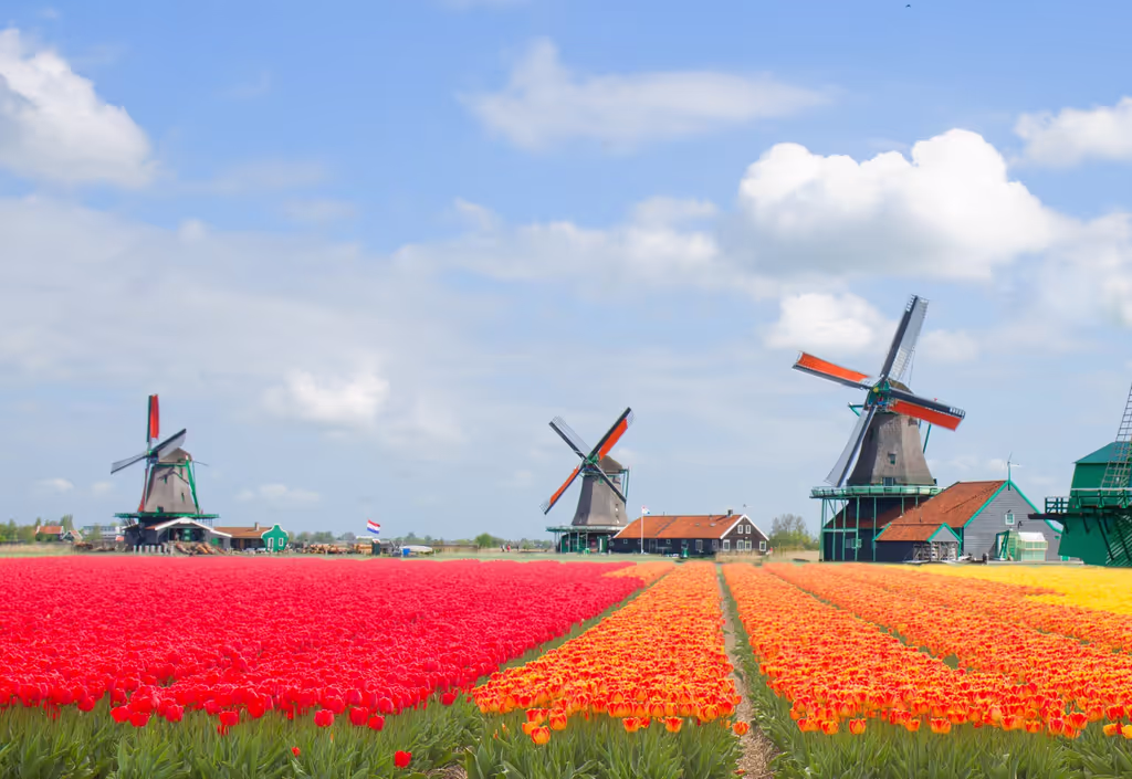 Amsterdam Private Tour - 