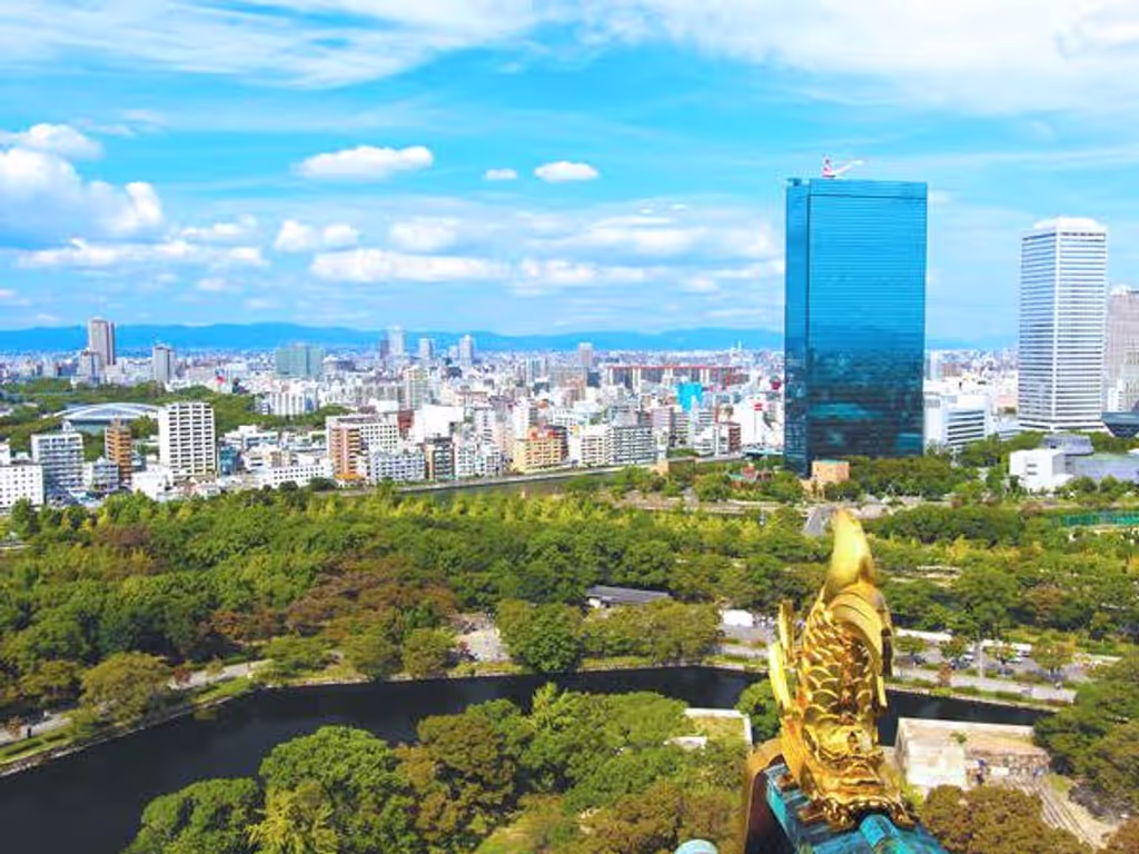 Osaka Private Tour - Osaka Castle Main Tower