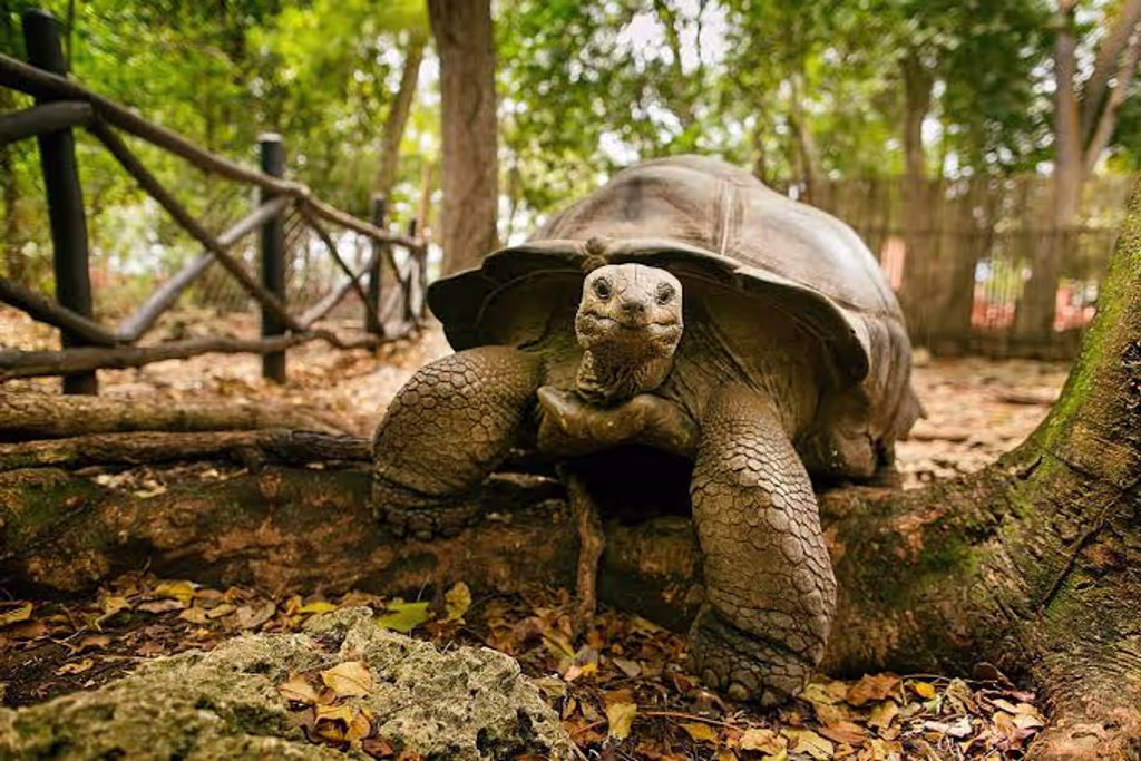 Zanzibar Private Tour - 