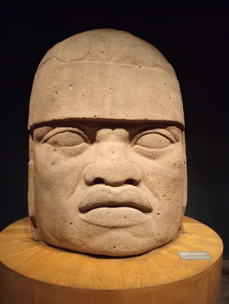 Mexico City Private Tour - Olmec Hall