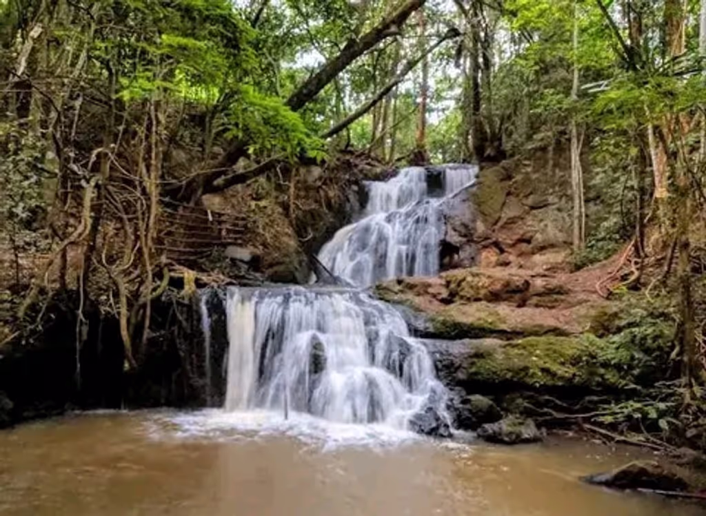 Nairobi Private Tour - 