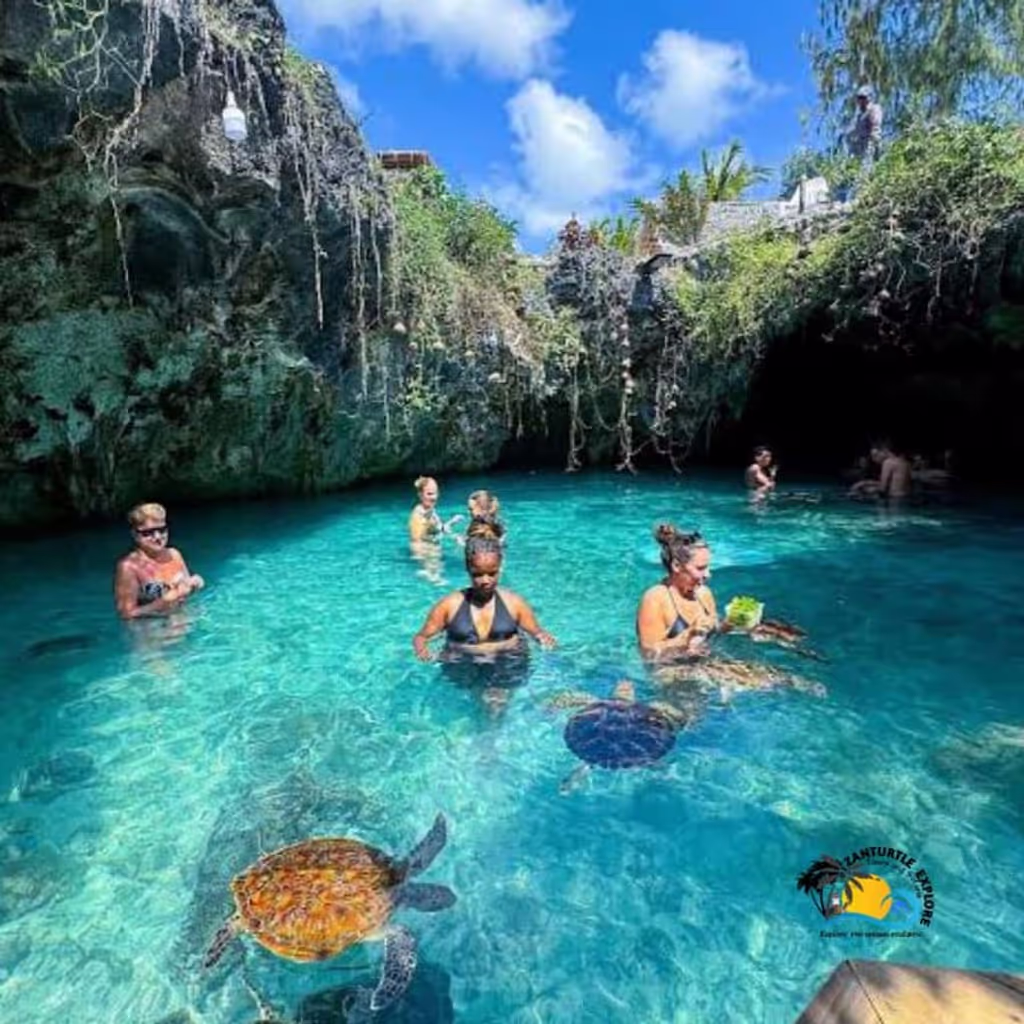 Zanzibar Private Tour - 