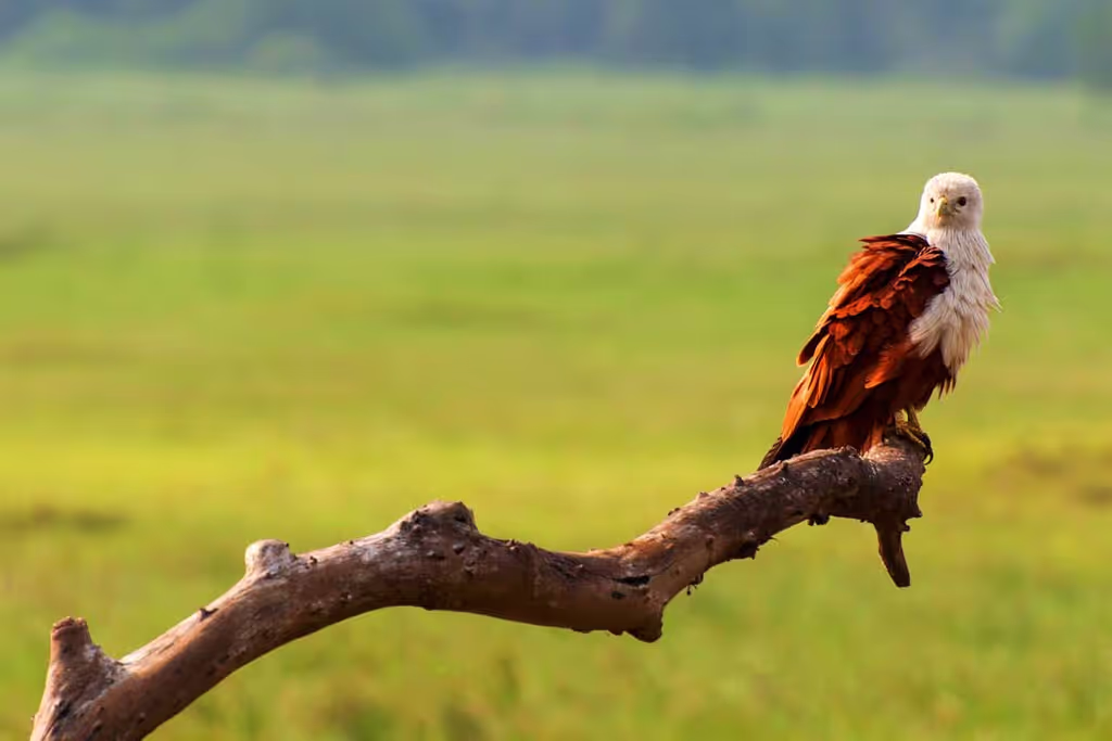 Trincomalee Private Tour - 