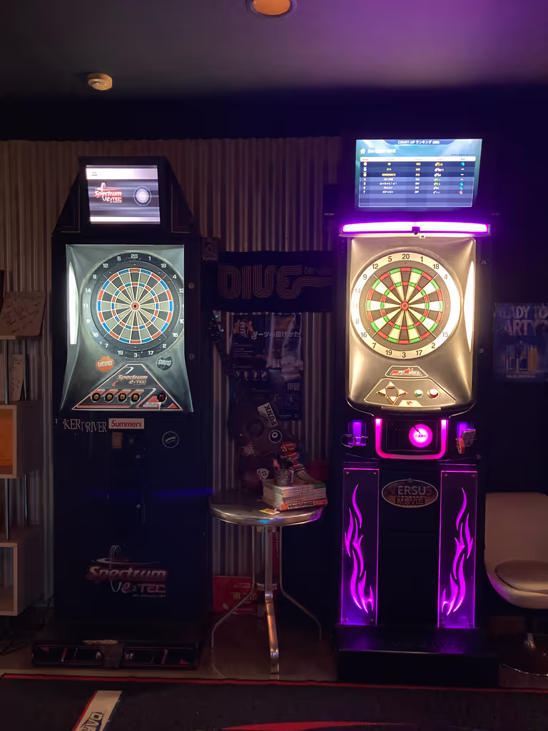 Kyoto Private Tour - Two Dartboards
