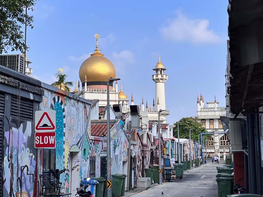 Singapore Private Tour - the alleys and Sultan Mosque of Kampong Gelam