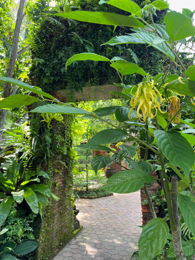 Singapore Private Tour - The fragrant Sang Nila Utama Garden
