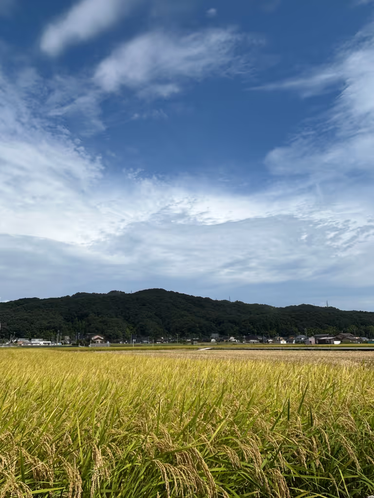 Toyama Private Tour - Mt. Futagami in the distance