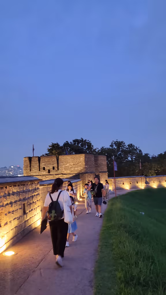 Suwon Private Tour - 