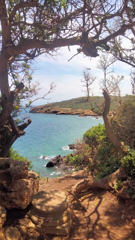 Algiers Private Tour - 