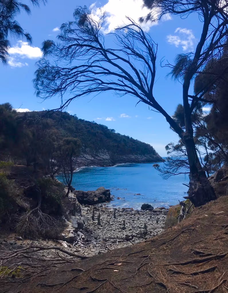 Hobart Private Tour - 