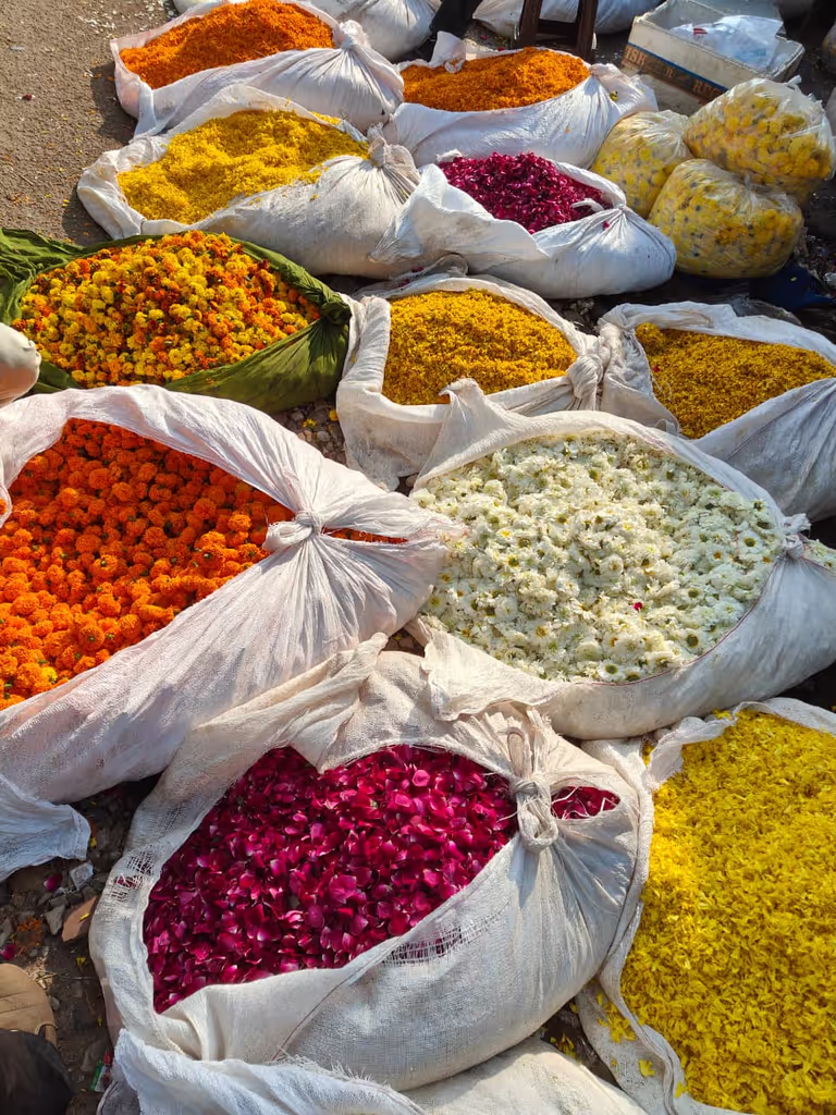 Jaipur Private Tour - Flower Market