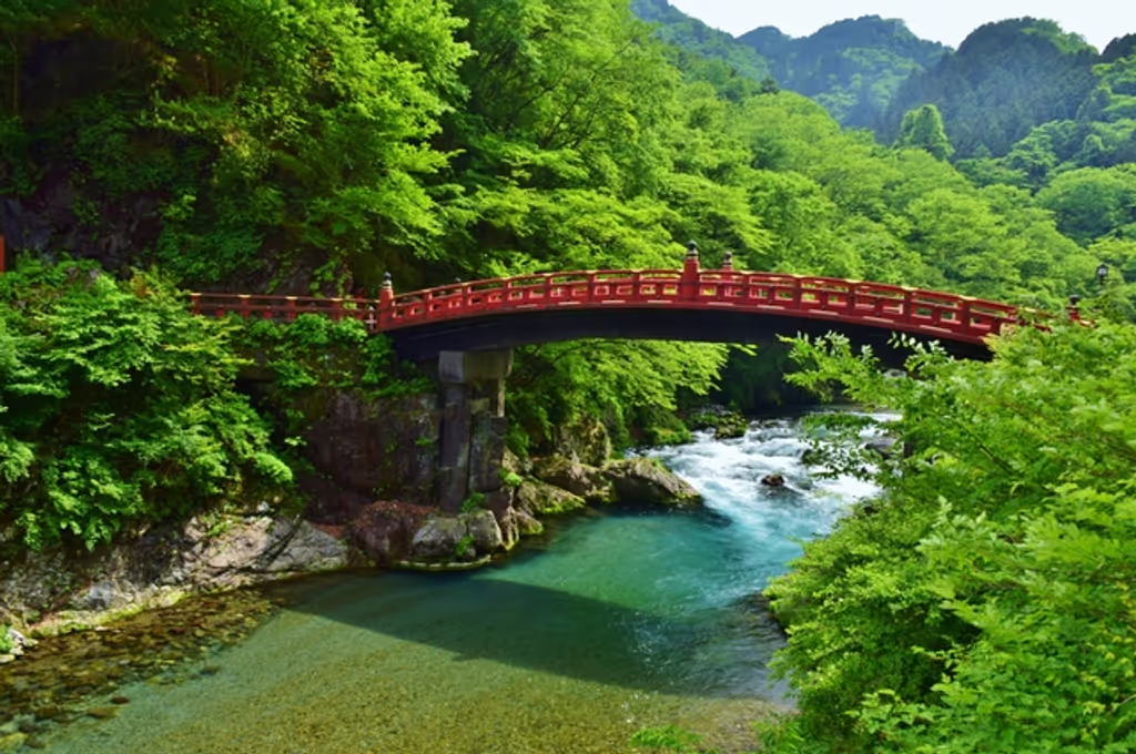 Nikko Private Tour - Puente Sagrado