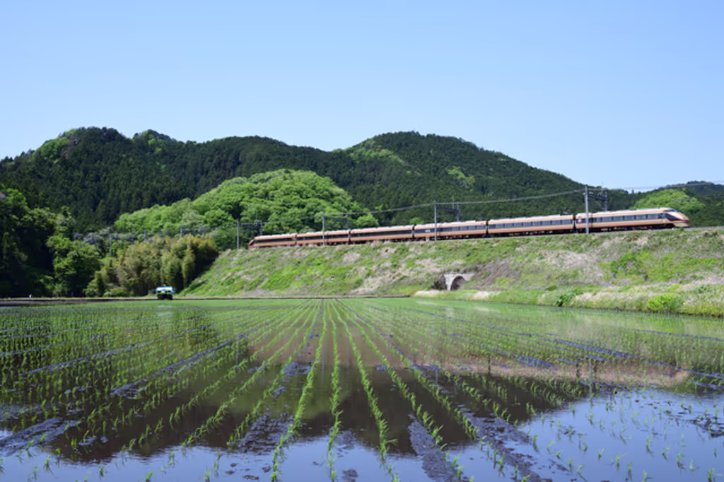 Nikko Private Tour - Tren expreso entre Tokyo y Nikko