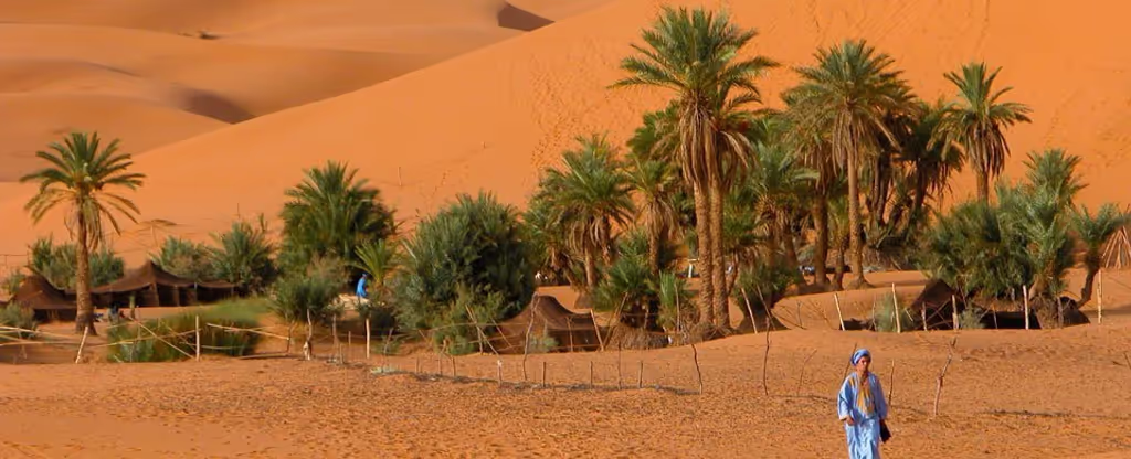 Marrakech Private Tour - 